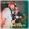 Lloraré por ti (feat. Dj Conds) - Single