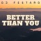 Better Than You - DJ Festaro lyrics