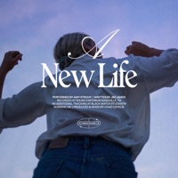 A New Life - Single - Amy Stroup