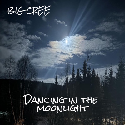 Dancing In the Moonlight - Single