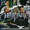 Hayabusa (feat. Morry) cover art