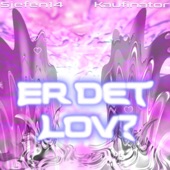 Er Det Lov? artwork