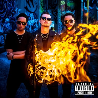 Burn it Down (feat. Bremer Baden & Jahdi) - Single