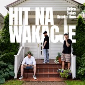 Hit Na Wakacje artwork