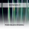 Pozzo Balbi & Spagnoli