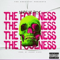 The Foulness (feat. Johnny Slash) - Single - Davey Lee Riot