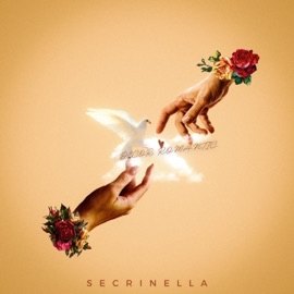 Decor Romantic Secrinella