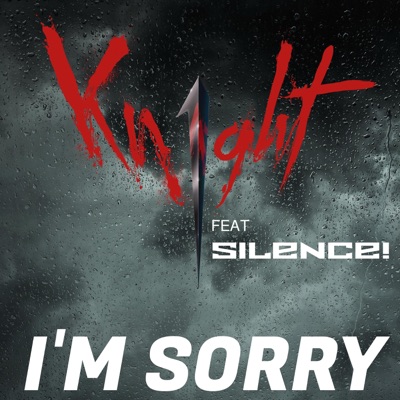 I'M Sorry (feat. Silence!) - Single