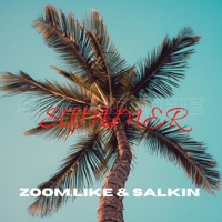 Spend the Summer - Single - Zoom.Like & Salkin