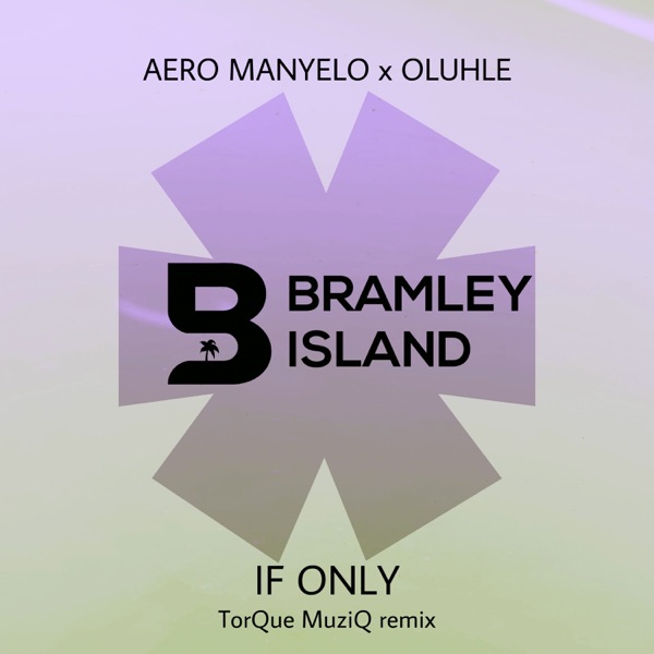 If Only (TorQue MuziQ Remix) [feat. Oluhle] - Single