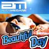 Beautiful Day (Newdance Edit)
