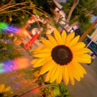 Sad Summer Love Songs to Day Drink To - Single - Tobias Malachi