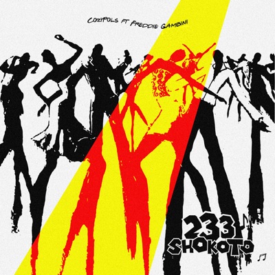 233 Shokoto (feat. Freddie Gambini) - Single