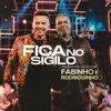 Stream & download Fica no Sigilo (Ao Vivo) - Single