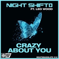 Crazy About You - Single - Night Shift & Leo Wood