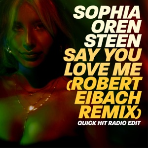 Say You Love Me (Robert Eibach Remix) [Quick Hit Radio Edit]