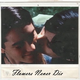 Flowers Never Die Gure
