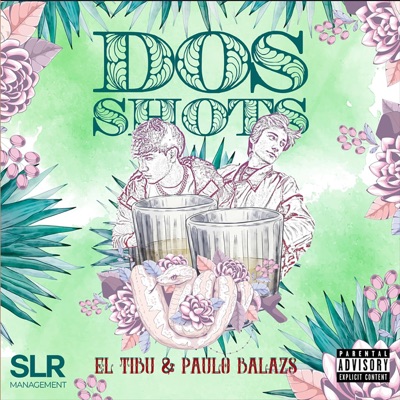 DOS SHOTS - Single