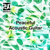 Peaceful Acoustic Guitar