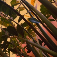 Mess - EP - Bass Boy