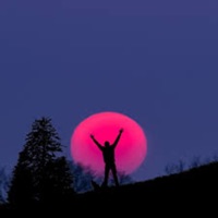 Let Go - Single - Average The Boy