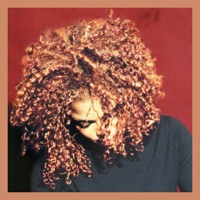 The Velvet Rope (Deluxe Edition) - Janet Jackson