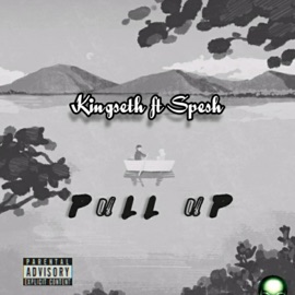 Pull up (feat. Spesh) Kingseth