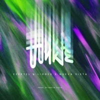 Junkie (feat. Nueva Vista) - Single
