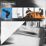 Regulate - Why Can't We?