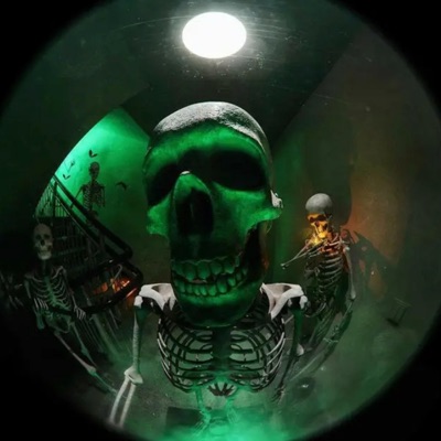 Warriors Kingdom - Single