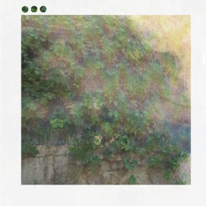 The Cherry Tree - Single