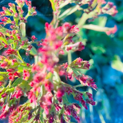 Dark as Light (feat. Loren Hartman) - Single