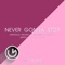 Never Gonna Stop (Mitch B., Zen Radio Remix) artwork