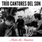 La Vara de Mi Violín - Trío Cantores del Son lyrics