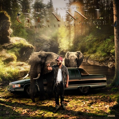 Gianni the Pursuit of Peace