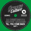Groove Assassin - Till You Come Back (Dj Christian B Original Mix Edit)