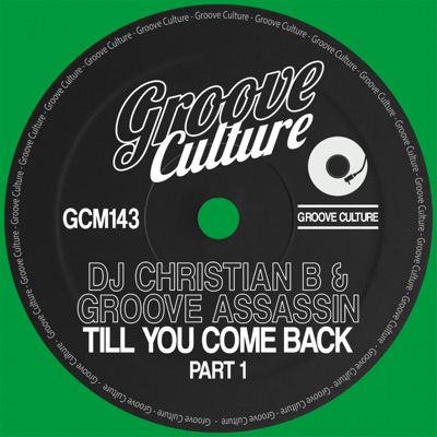 Till You Come Back (Part 1) - Single