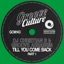 Till You Come Back (Part 1) - Single