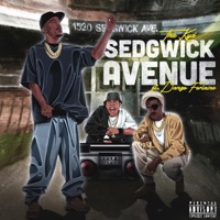 Sedgwick Avenue (feat. Dango Forlaine) - Single - The Kyd