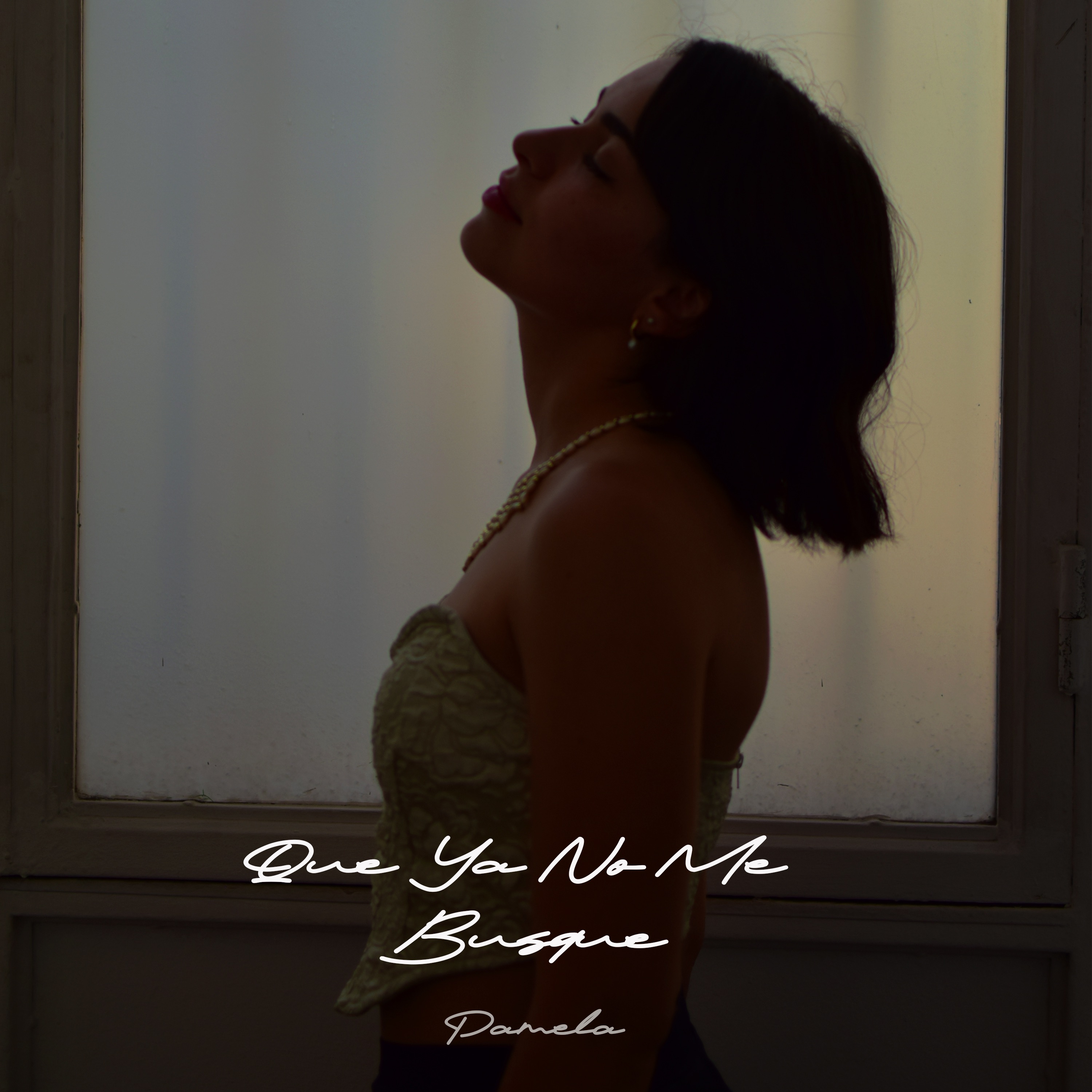 Que Ya No Me Busque - Single