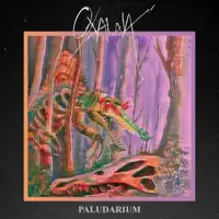 Paludarium — Oxalaia