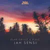 Stream & download Jah Sensi - Single