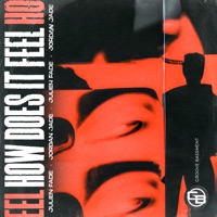 How Does It Feel - Single - Julien Fade & Jordan Jade