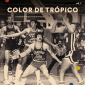 Color de Trópico Vol 3 ( Compiled By el Dragón Criollo & el Palmas ) artwork