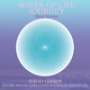 Water of Life (Radio Edit) - David Gibson