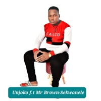 Sekwanele (feat. Mr Brown) - Single - UNjoko