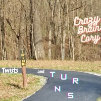 Twists and Turns - Single - Crazy Brain Cory