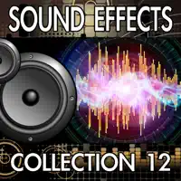 Ambulance Siren (Version 1) [Emergency Rescue Vehicle Pass Passing Drive Driving By City Noise Clip Sound Effect] — Finnolia Sound Effects