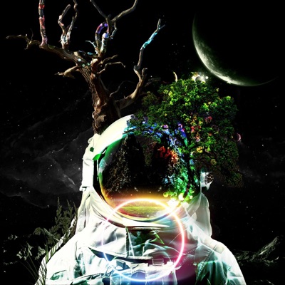 Disorderly Disturbed - Single