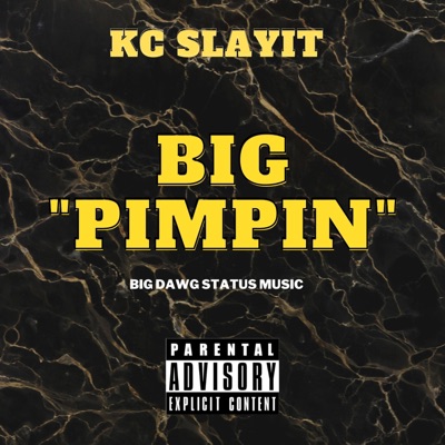 Big Pimpin - Single